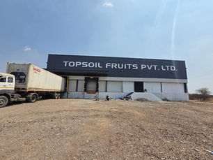 Grapes Processing Packhouse, Pre-Cooling & 500 MT Cold Storage Project