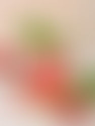 Fesleğenli Ahududu Tonik