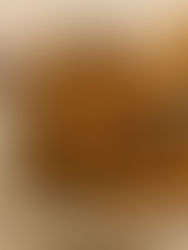 Karamel Kalpli Hurma Barlar