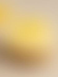 Limonlu Yoğurtlu Mini Pişmeyen Cheesecake