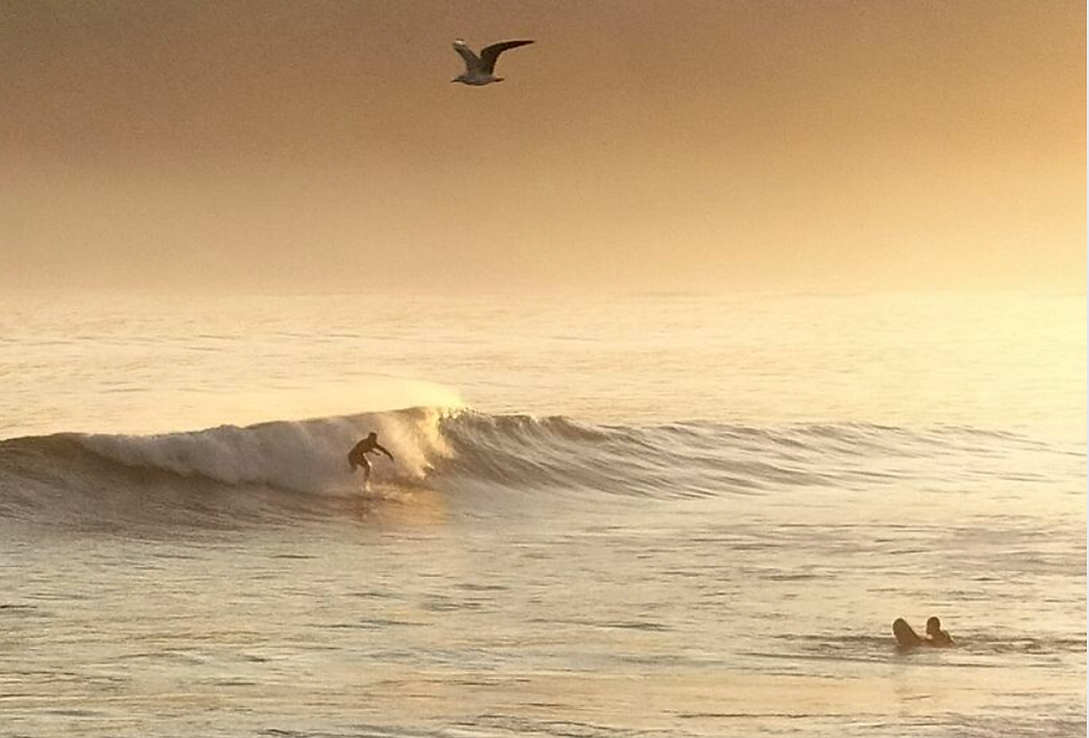 A surfer riding a glassy wave at dawn!