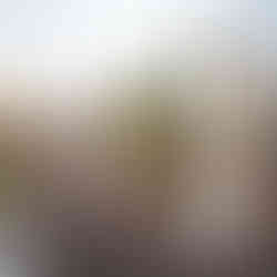 Conceptual Studio - Speculative Futures