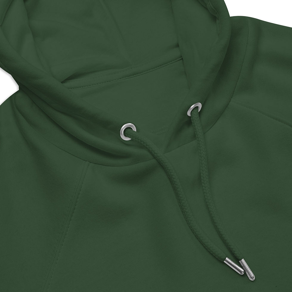 Thumbnail: God's Grace Is Healing- eco raglan hoodie