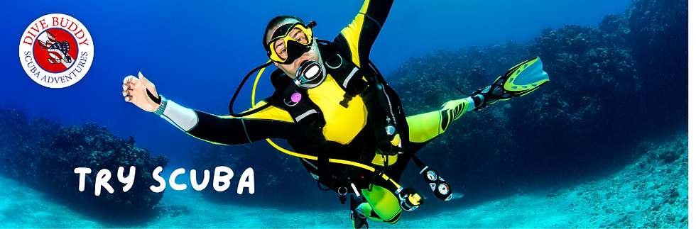 Try Scuba (1).png