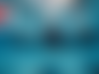 Get Fit to Dive: Prepare for the 2026 Dive Season with Dive Buddy Scuba!