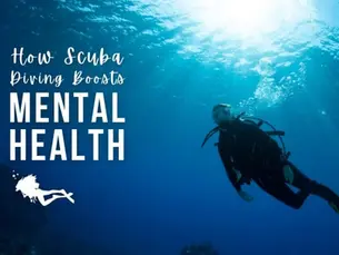 How Scuba Diving Boosts Mental Health – The Magic of Blue Mind