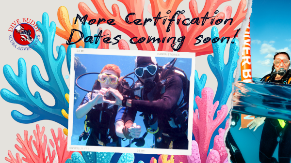 DBSA Congratulations on your certification! (600 x 337 px).png