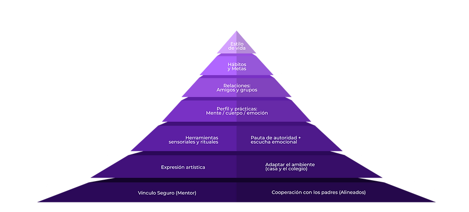 PIRAMIDE WEB.png