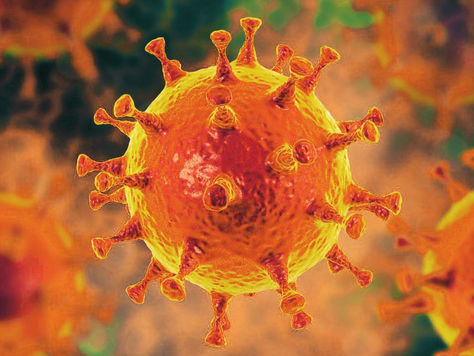 Ковид и закрытие границ, доставка из Европы в Украину во время коронавируса