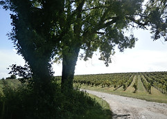 P1010065.JPG