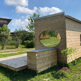 Reife Quitten im Sonnendorf-Hof – regionale Früchte mitten im grünen Idyll