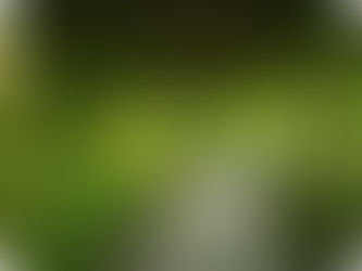 What Is an Akashic Records Reading?