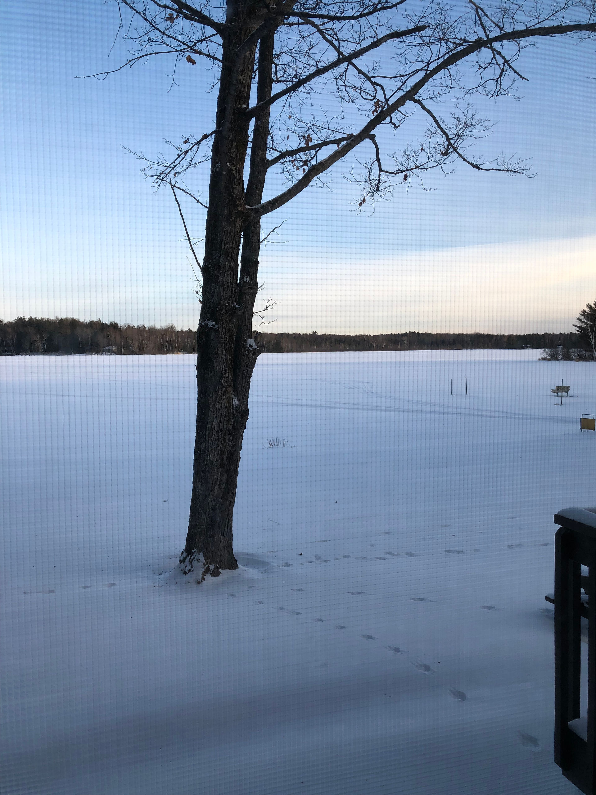 the frozen lake near Birch Trail Resort