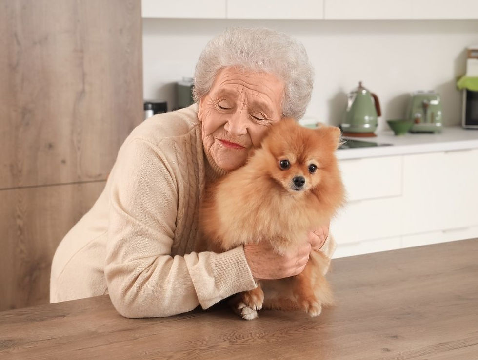 Elderly woman in a beige sweater hugs a fluffy Pomeranian on a wooden table. Cozy kitchen background with green teapots, warm ambiance.