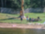 Three men relax on a sunny lakeside beach near lounge chairs and a picnic table, beside a carved tree trunk and fence.