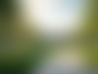 byområde med grønne omgivelser