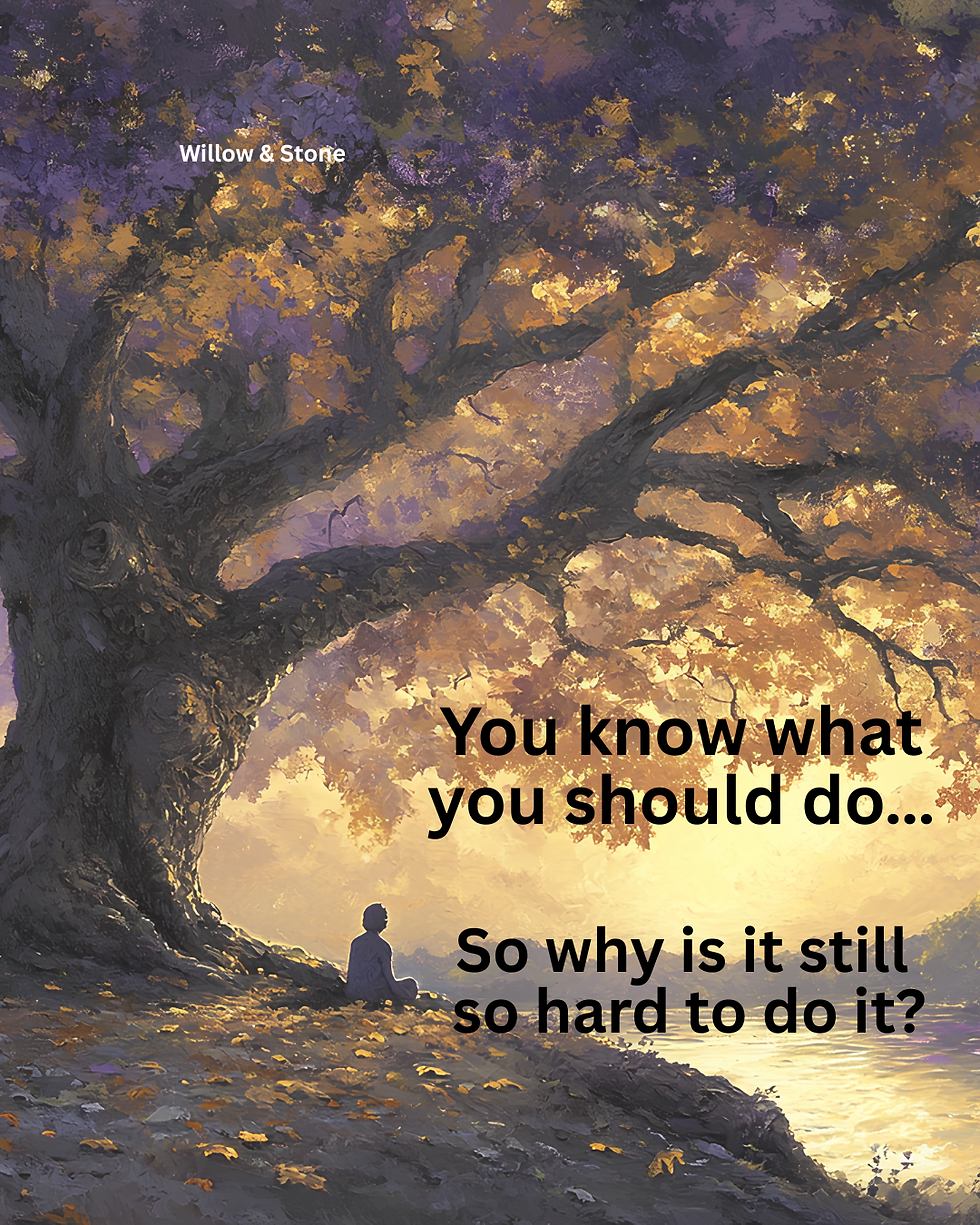 Person sitting beneath a large tree reflecting on feeling stuck in life