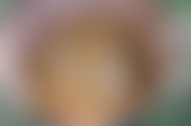 Paja sumergida en solución alcalina con cal, utilizada como método de desinfección para el cultivo de hongos Pleurotus ostreatus (ostra), técnica alternativa al uso de vapor o agua caliente.