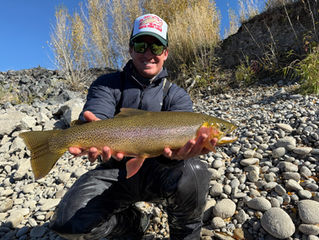 First Report Of November