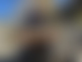 First Report Of November