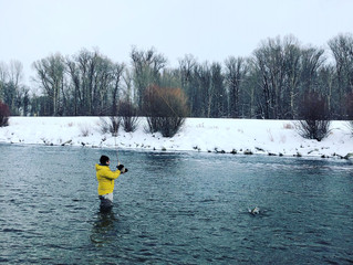 Mid December Report - Midges and Eggs and its Gonna be Getting Warmer