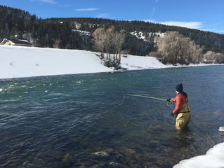 The 1st Report of 2026