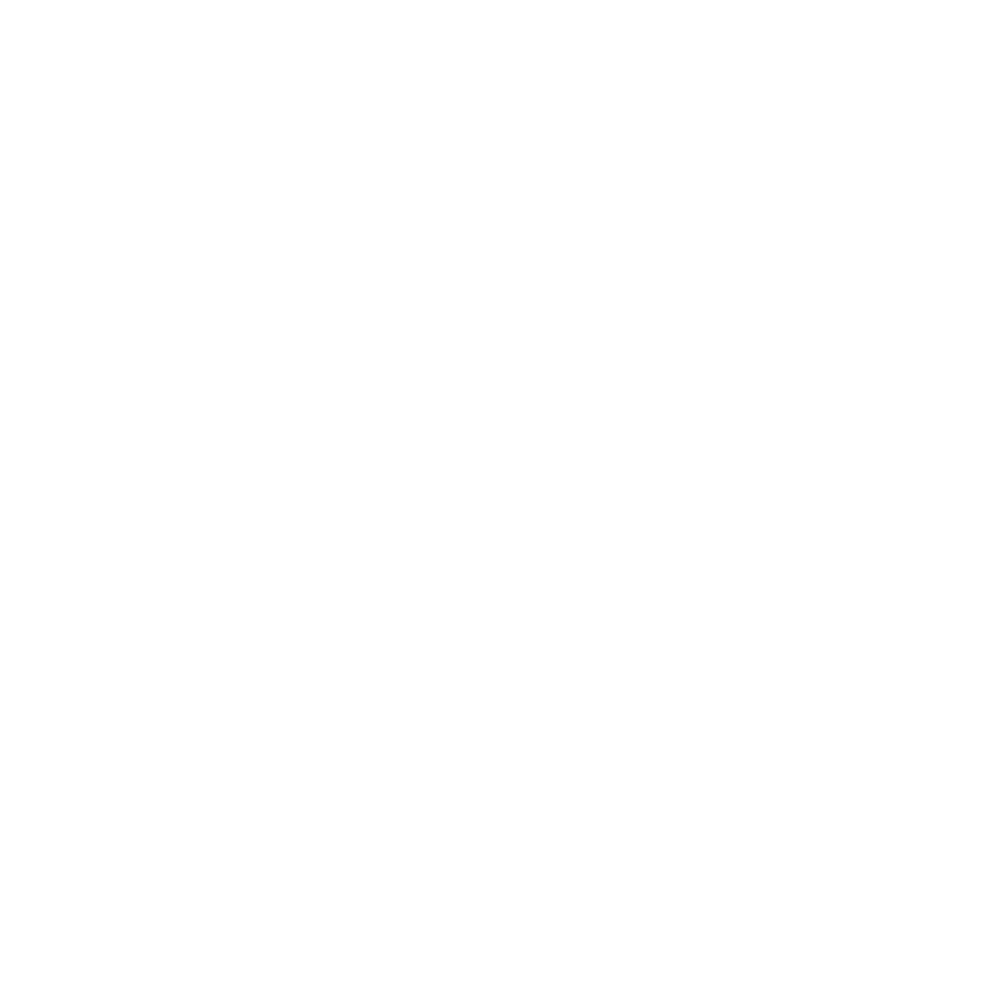 PRAGMATIC電子