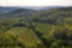 Margui Estate Vineyards