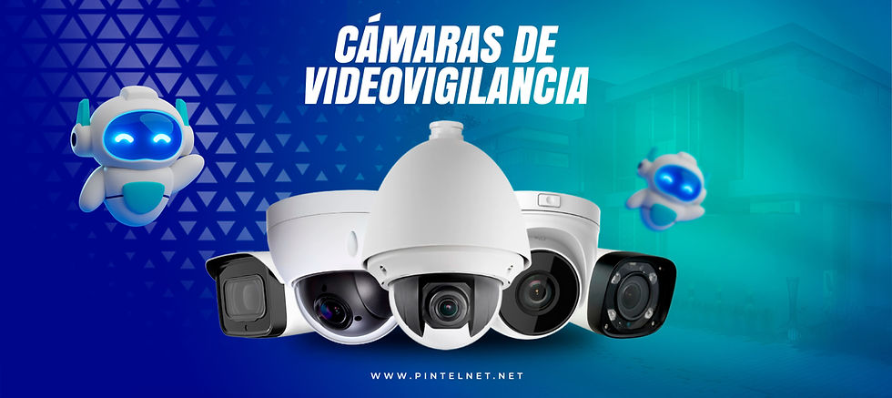 CAMARAS DE VIDEO