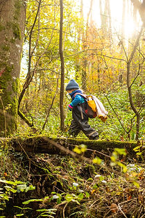 Preschool children learning outside in Dartington 12.jpg