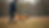 Eye-level view of a dog trainer working with a Labrador Retriever