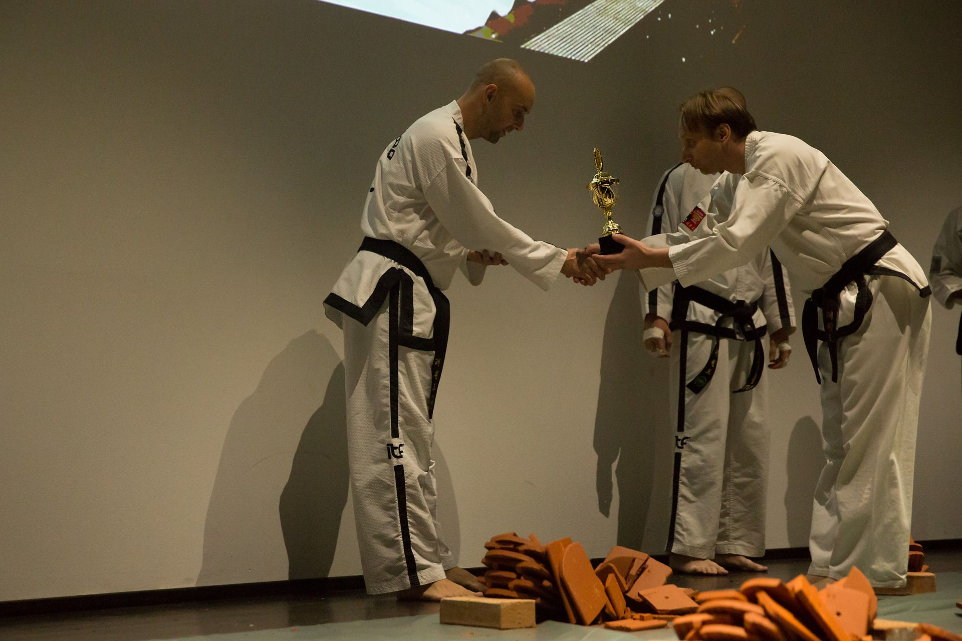 20161119_15Jahre TKD Wien_itf (29)