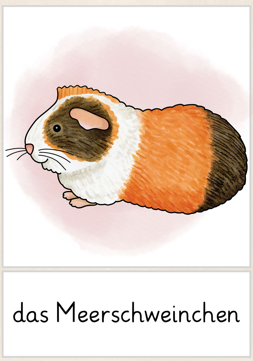 Miniaturbild: Haustiere Freebie Bild- und Wortkarten Sachunterricht Grundschule und Deutsch Bildkarten kostenlos Unterrichtsmaterial PDF