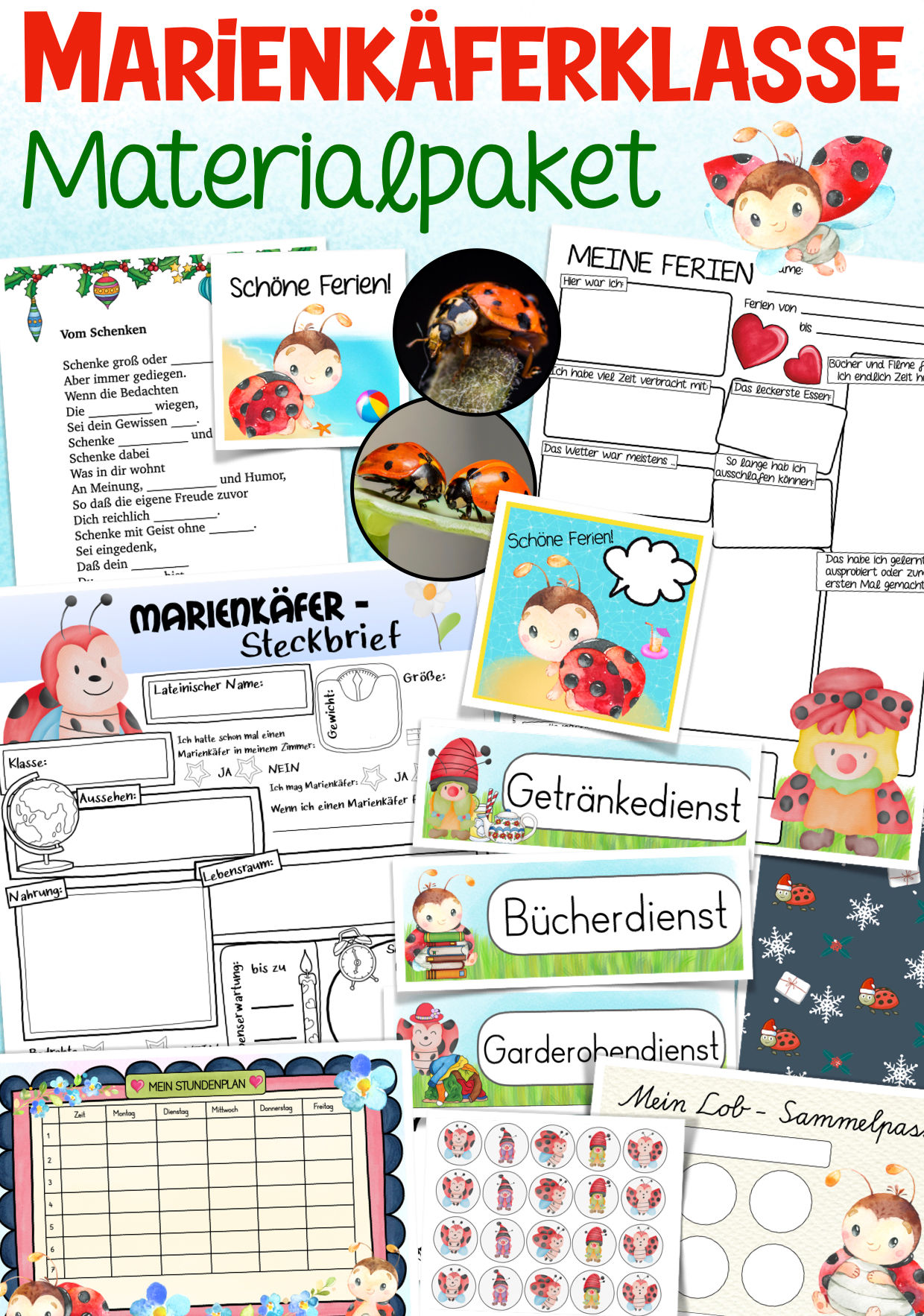 Marienkäferklasse Klassentier Marienkäfer Sorglospaket Schulanfang Grundschule Materialpaket Klassenmaskottchen