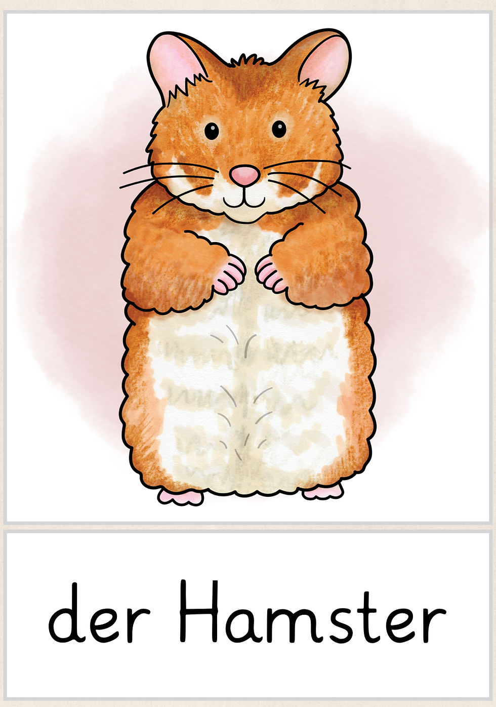 Miniaturbild: Haustiere Hamster Bild- und Wortkarten Sachunterricht Grundschule und Deutsch Bildkarten kostenlos Unterrichtsmaterial PDF