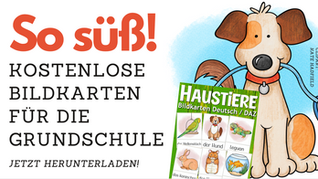 Haustiere Bildkarten - kostenlos für DAZ oder den Sachunterricht in der Grundschule