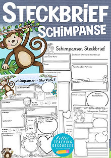 Affe / Schimpanse Steckbrief Arbeitsblätter Sachunterricht in der Grundschule und Klassentier
