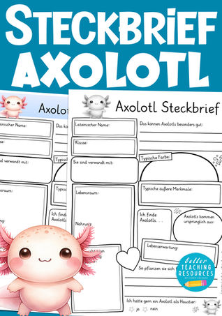 Axolotl Steckbrief für Kinder – Fakten und Unterrichtsideen für die Grundschule