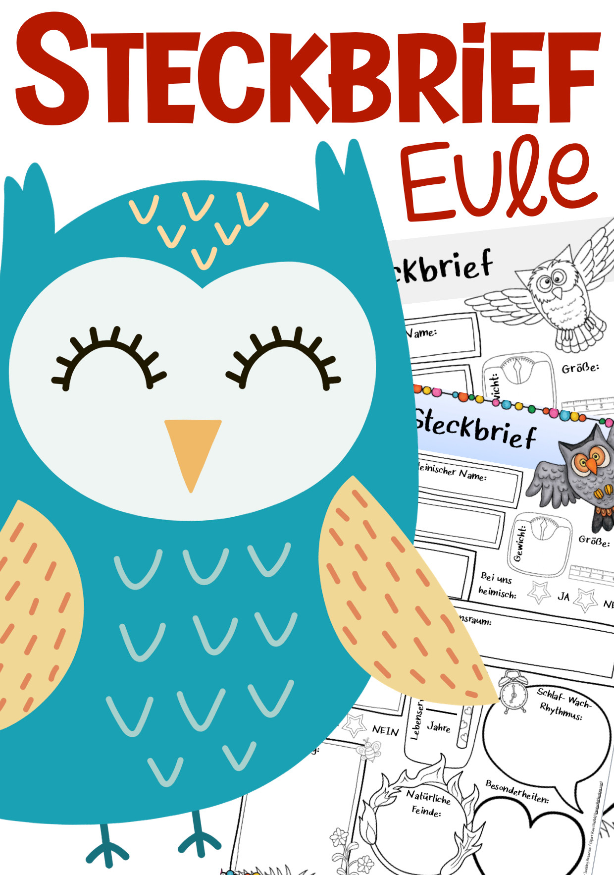 Eulenklasse Unterrichtsmaterial und Freebies 35/71, image size:1240x1766