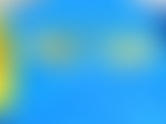 今年度の活動