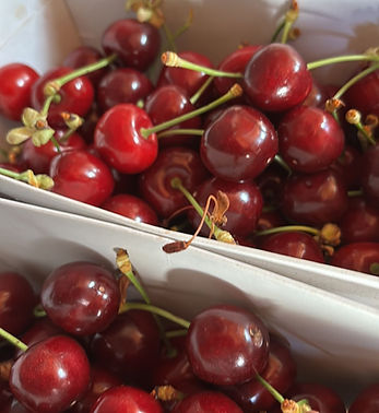 cerises.jpeg