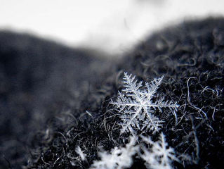 Fiocchi di neve