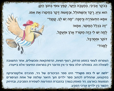 ניר ספיר
