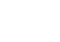 pfizer logo.png