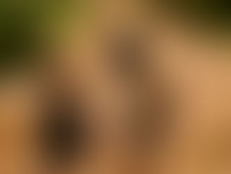 The Unseen Strength of Dads: Cultivating Connection Through Presence for Our Children