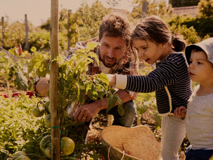 The Art of Teaching Values Without Words