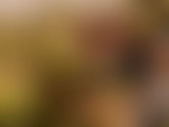 The Art of Teaching Values Without Words