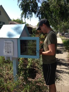 Free Little Library