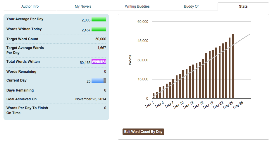 NaNoWriMo - my stats