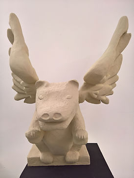 WP_20190603_20_04_29_Rich.jpg